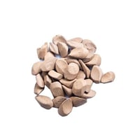 عود محسن مروكي ميني – اوقية