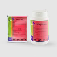 دوكسي هولندي Doxy ws 1kg