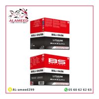 بطارية ليثيوم عالية الاداء BSLI-04/BSLI-06
