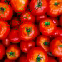 طماطم محمي (13 كجم)