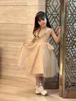 فستان بيج بـ تفاصيل شك فخم ..