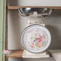 0766 ميزان ريترو معدني أنيق من إزابيل روز 3kg (كري...