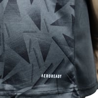 تيشيرت النادي الأهلي التمارين(2025-2026)