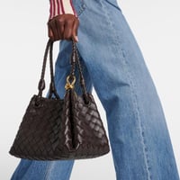 باراشوت صغير بني