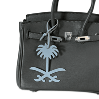 تعليقة سيفين و نخلة