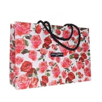 كيس دولتشي آند غابانا مورد