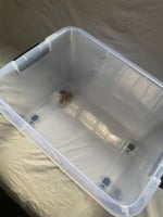 بيت الهامستر