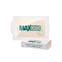 مصيدة لاصقة للحشرات والقوارض كاتش ماستر (72 حبة)