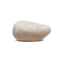 محطة طعوم صخرة لمكافحة الفئران والجرذان