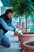 شوكة فيبر للزراعة أسباني Bellota موديل 2987