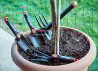 مجرفة فيبر للزراعة أسباني Bellota موديل 2985