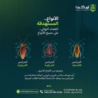 ماكس فورس فورتي جل لمكافحة صراصير 30 جرام