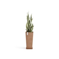مركن إيكو بوت فايبر روتيردام ECOPOTS مقاس 35 × 40...