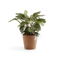 مركن إيكو بوت فايبر أمستردام ECOPOTS مقاس 40 × 35...