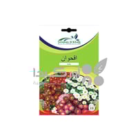 بذور أقحوان دوارف 2 غم