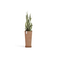 مركن إيكو بوت فايبر روتيردام ECOPOTS مقاس 35 × 40...