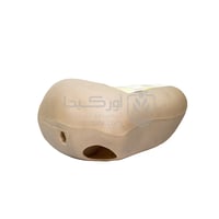 محطة طعوم صخرة لمكافحة الفئران والجرذان