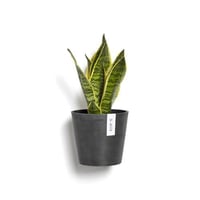 مركن إيكو بوت فايبر أمستردام ECOPOTS مقاس 20 × 17...