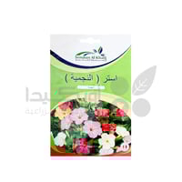 بذور استر النجمية 10 غم