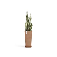 مركن إيكو بوت فايبر روتيردام ECOPOTS مقاس 32 × 14...