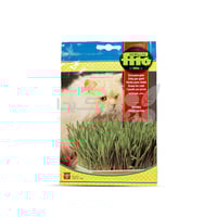 بذور عشب للقطط 20 غم