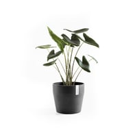 مركن إيكو بوت فايبر سانكارا ECOPOTS مقاس 40 × 35 ر...