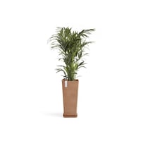 مركن إيكو بوت فايبر روتيردام ECOPOTS مقاس 35 × 40...