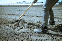 خراشة 16 سن أسباني Bellota موديل 95114