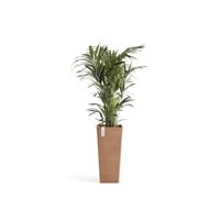مركن إيكو بوت فايبر روتيردام ECOPOTS مقاس 35 × 40...