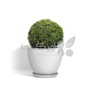 مركن إيكو بوت إنتيروب ECOPOTS مقاس 40 × 30 سم رماد...