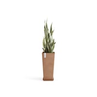 مركن إيكو بوت فايبر روتيردام ECOPOTS مقاس 70 × 32...