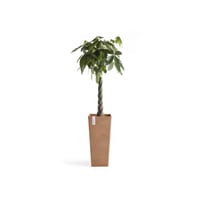 مركن إيكو بوت فايبر روتيردام ECOPOTS مقاس 32 × 14...