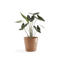 مركن إيكو بوت فايبر أمستردام ECOPOTS مقاس 40 × 35...