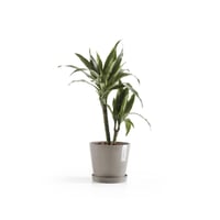 مركن إيكو بوت فايبر أمستردام ECOPOTS مقاس 20 × 17...