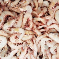 روبيان وسط نص كيلو 2\1 rwbian W