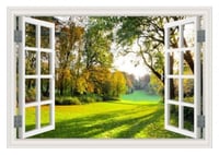 منظر نافذة تطل على غابة خضراء