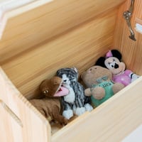 صندوق تخزين الالعاب