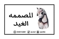 المصممة الغيد