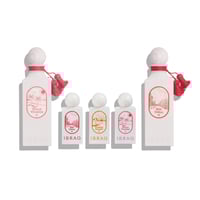 ويف اوف ايلقينس