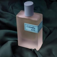 عطور كاميليا - عطر مونتي ‏Monte