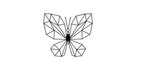 B butterfly