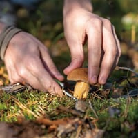 سكين ميدالية 12.5 سم - تتحمل الاستخدام الشاق، سهلة...