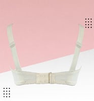 حمالة صدر أسيل كلاسيكي إسفنج 1017