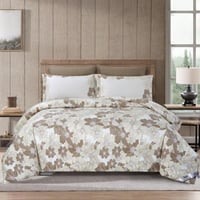 بكج ڤيولا الفاخر -مقاس كوين