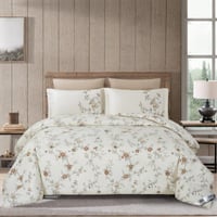 بكج ڤيولا الفاخر -مقاس كوين