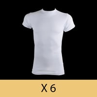6 حبات