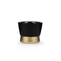 80ml