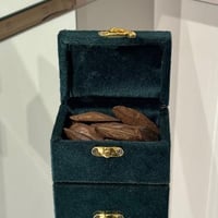 العود المروكي طبيعي محسن