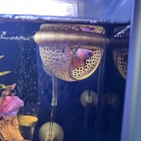 كهف فايتر عائم- Floating Betta Cave