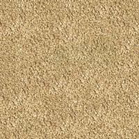 طعام سيرا للفايتر - Sera Bettagran Natur